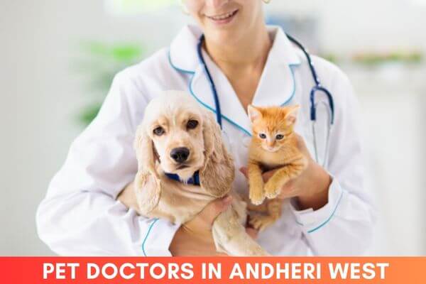 Best Veterinary Doctors in Andheri West