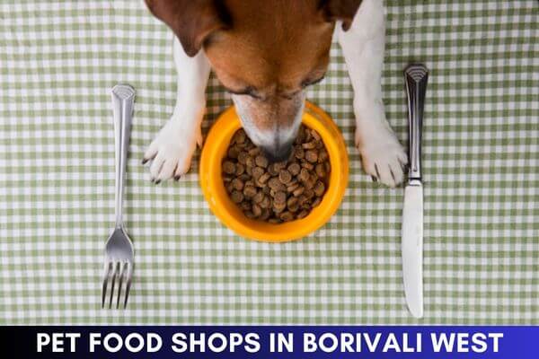 Pet Food Shops in Borivali West