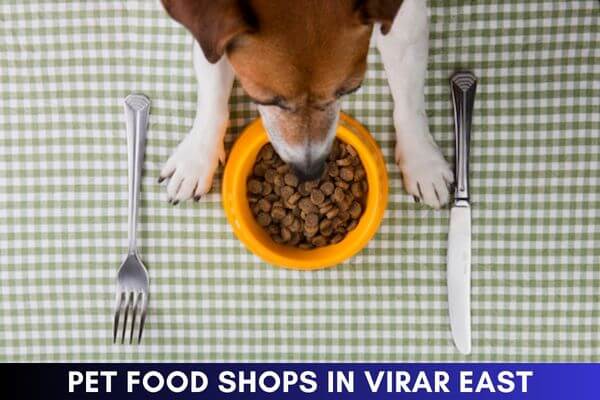 Pet Food Shops in Virar East