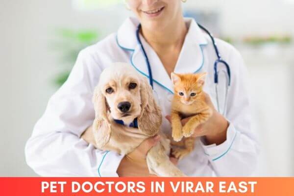 Pet Doctors in Virar East