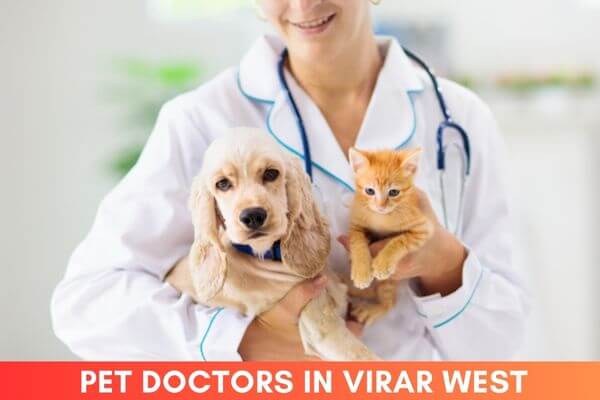 Pet Doctors in Virar West